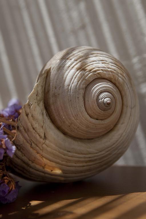 Moshinos Hotel Ayvalı エクステリア 写真