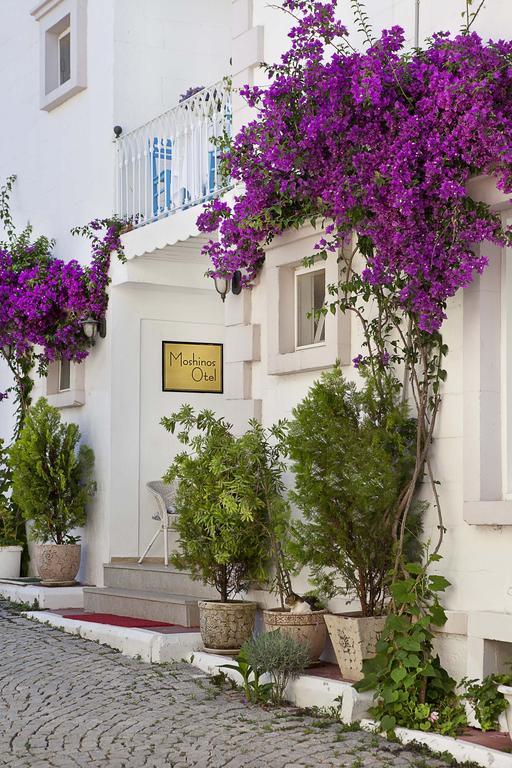 Moshinos Hotel Ayvalı エクステリア 写真